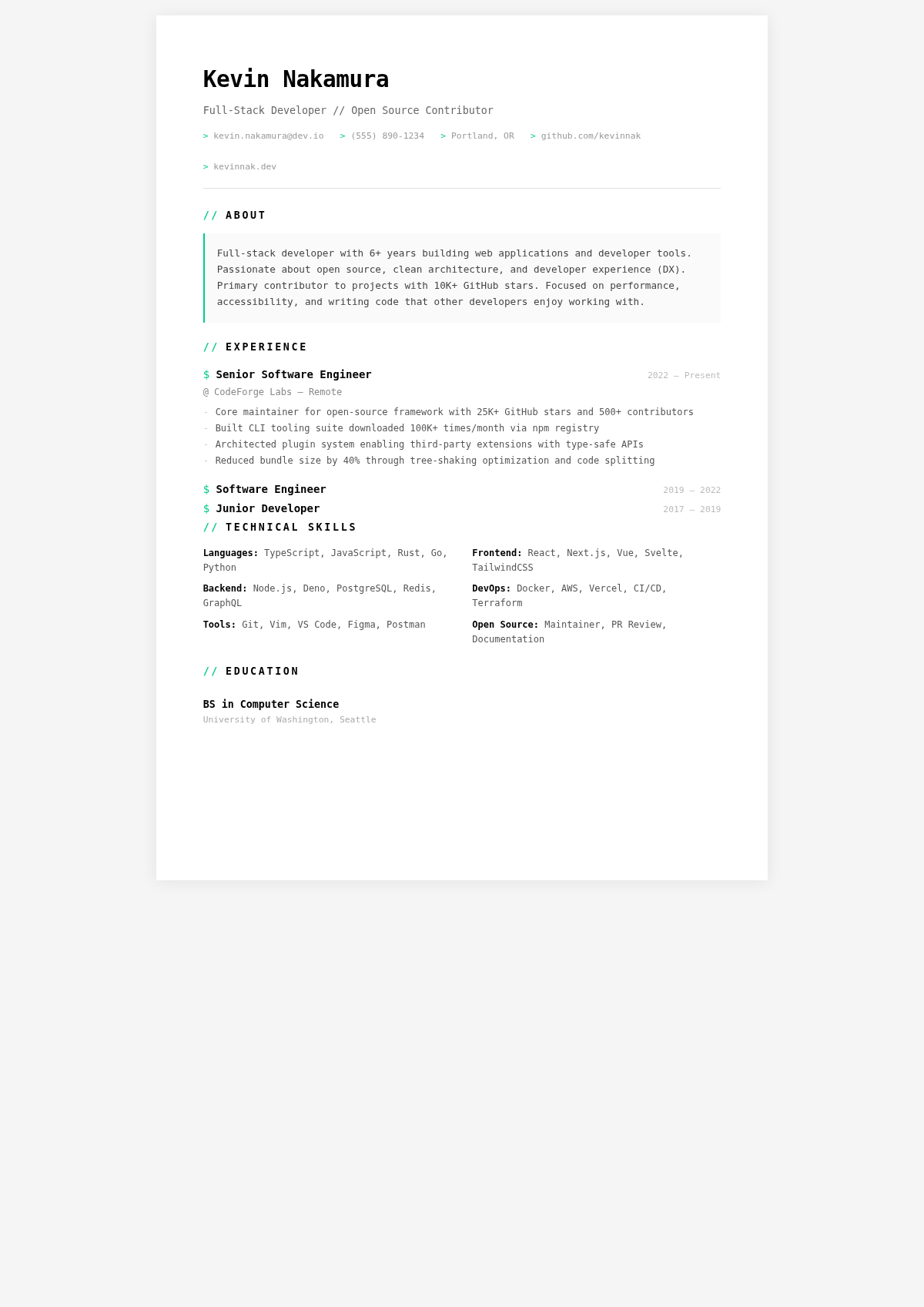 Tech minimalist simple resume